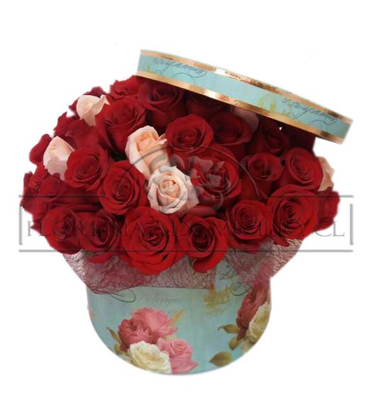 100 Rosas en Caja Redonda  